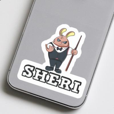 Sticker Sheri Billiard Player Notebook Sticker Sheri Billiard Player Gift package Image
