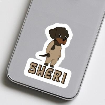 Sheri Autocollant Braque allemand à poil dur Sheri Autocollant Braque allemand à poil dur Image