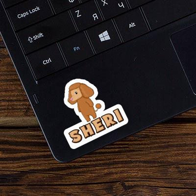 Caniche Autocollant Sheri Notebook Image