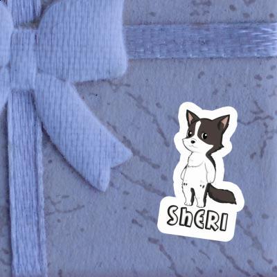 Aufkleber Border Collie Sheri Notebook Aufkleber Border Collie Sheri Notebook Image