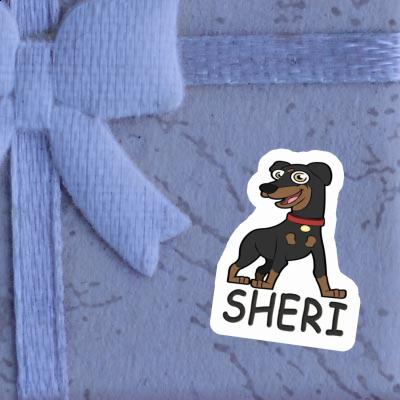 Pinscher Aufkleber Sheri Gift package Image