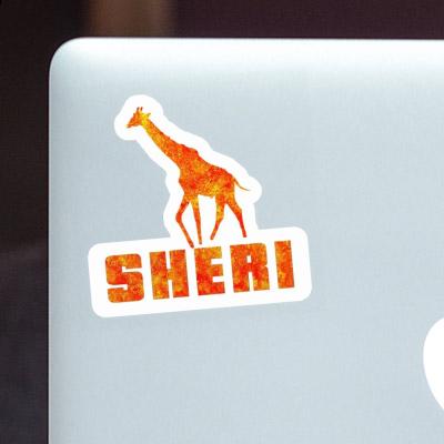 Sheri Sticker Giraffe Gift package Image