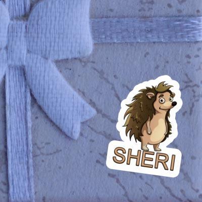 Igel Sticker Sheri Image