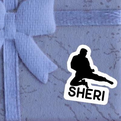 Karateka Sticker Sheri Notebook Karateka Sticker Sheri Gift package Image