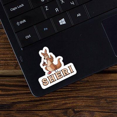 Kangaroo Sticker Sheri Image