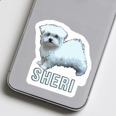 Sheri Sticker Malteserhund Laptop Image