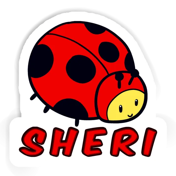 Coccinelle Autocollant Sheri Gift package Image