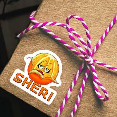 Sticker Orange Sheri Notebook Image