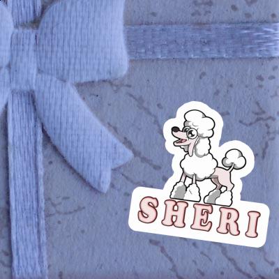 Aufkleber Sheri Pudel Notebook Image