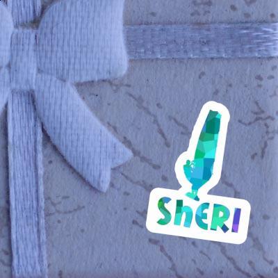 Sheri Aufkleber Windsurfer Notebook Sheri Aufkleber Windsurfer Gift package Image