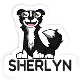 Sherlyn Sticker Border Collie Image