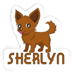 Sticker Sherlyn Chihuahua Image