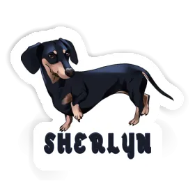 Sherlyn Sticker Dachshund Image