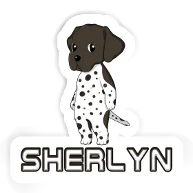 Sticker Sherlyn German Shorthaired Pointer Image