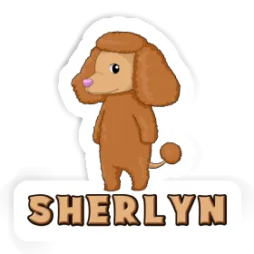 Sticker Poodle Sherlyn Image