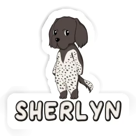 Sticker Sherlyn Small Munsterlander Image