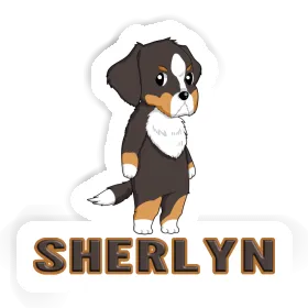 Sherlyn Sticker Bernese Mountain Dog Image