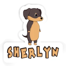 Sherlyn Sticker Dachshund Image