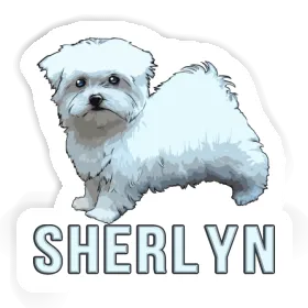 Maltese Dog Sticker Sherlyn Image