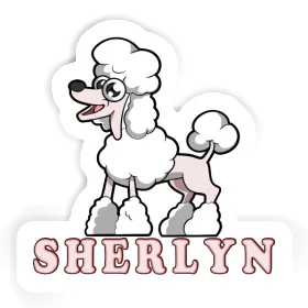 Sticker Poodle Sherlyn Image