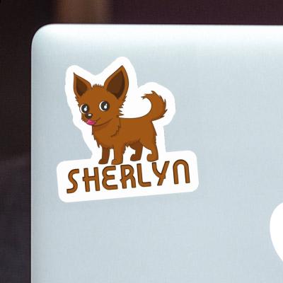 Sticker Sherlyn Chihuahua Gift package Image