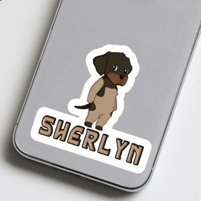 Sticker Sherlyn German Wirehaired Notebook Image