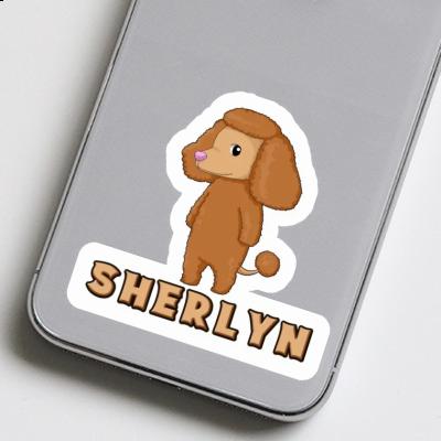 Autocollant Caniche Sherlyn Laptop Image