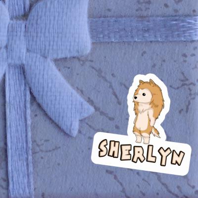 Collie Sticker Sherlyn Gift package Image