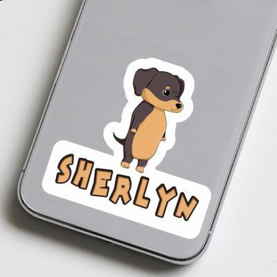 Sherlyn Sticker Dachshund Gift package Image