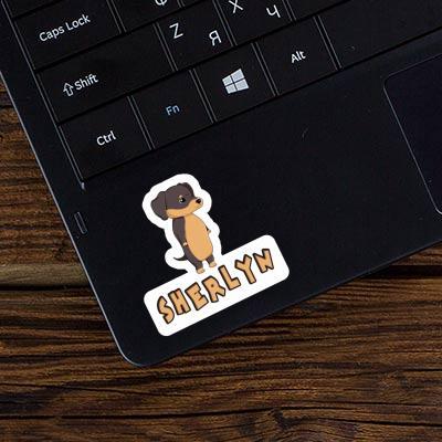 Sherlyn Sticker Dachshund Laptop Image