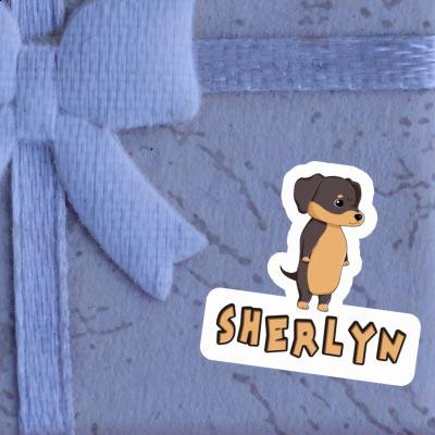 Sherlyn Sticker Dachshund Image