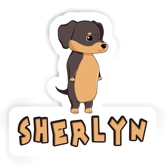 Sherlyn Sticker Dachshund Image