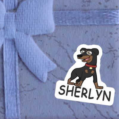 Sticker Sherlyn German Pinscher Notebook Image