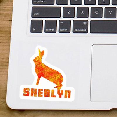 Sherlyn Sticker Rabbit Gift package Image