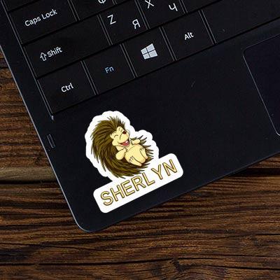 Sticker Sherlyn Hedgehog Laptop Image