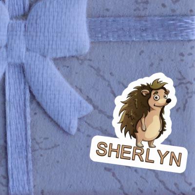 Sticker Sherlyn Standing Hedgehog Gift package Image