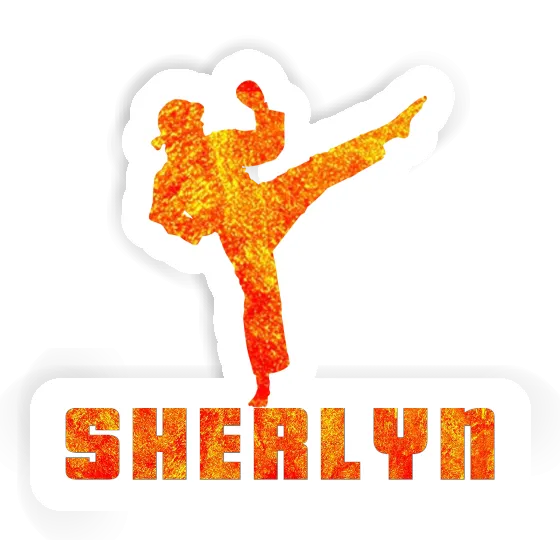 Sherlyn Sticker Karateka Laptop Image