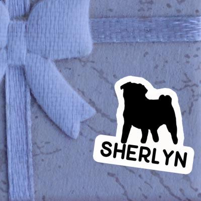 Aufkleber Mops Sherlyn Gift package Image