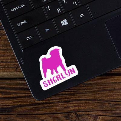 Sticker Pug Sherlyn Laptop Image