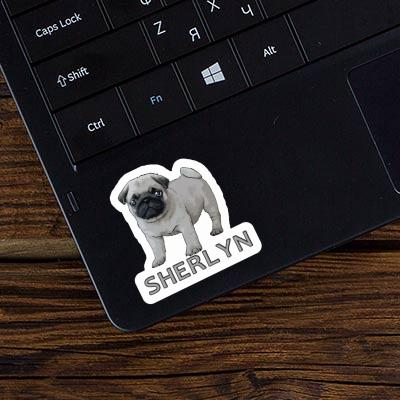 Aufkleber Mops Sherlyn Laptop Image