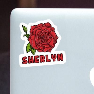 Rose Sticker Sherlyn Gift package Image