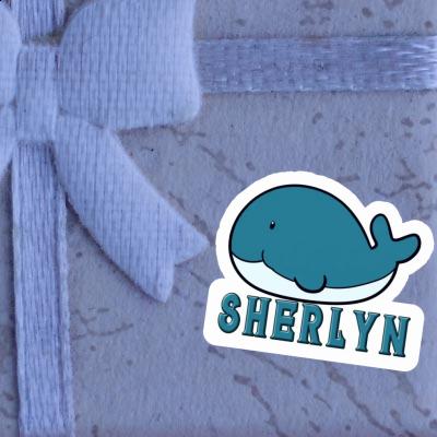 Autocollant Baleine Sherlyn Laptop Image