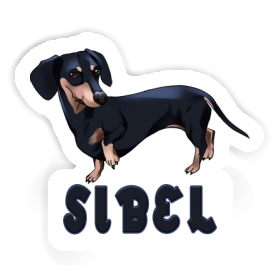 Sticker Dachshund Sibel Image