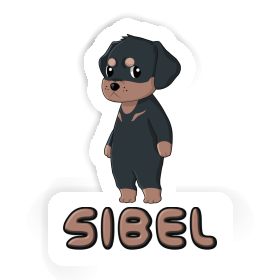 Autocollant Sibel Rottweiler Image