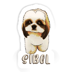 Autocollant Sibel Shih Tzu Image