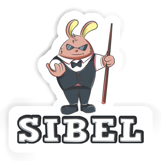 Billiards Player Sticker Sibel Gift package Image