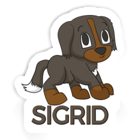 Sticker Berner Sennenhund Sigrid Image