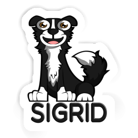 Sigrid Sticker Border Collie Image