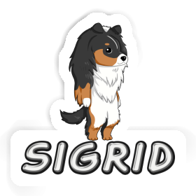 Shetland Sheepdog Aufkleber Sigrid Image