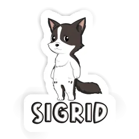 Sticker Border Collie Sigrid Image